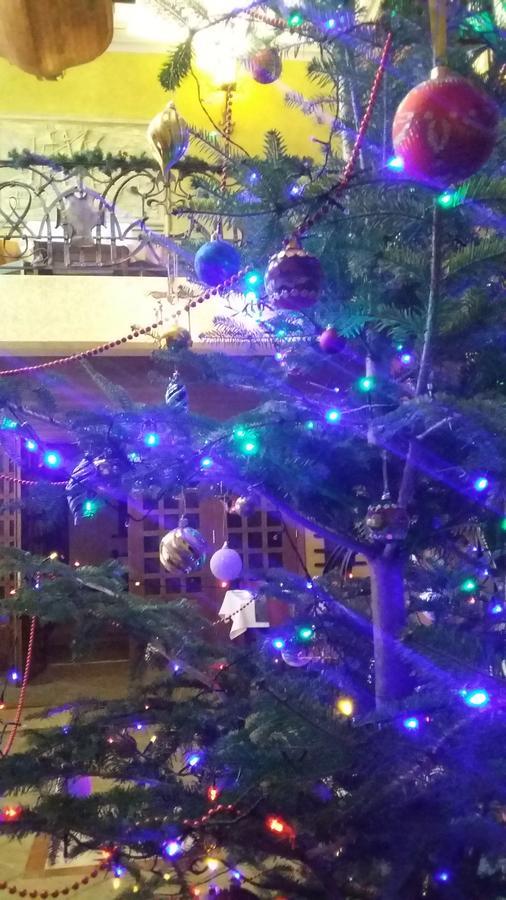 Letuchiy Gollandets Hotel Uzhhorod Bagian luar foto